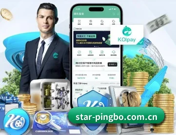 平博官网 APP 深度功能